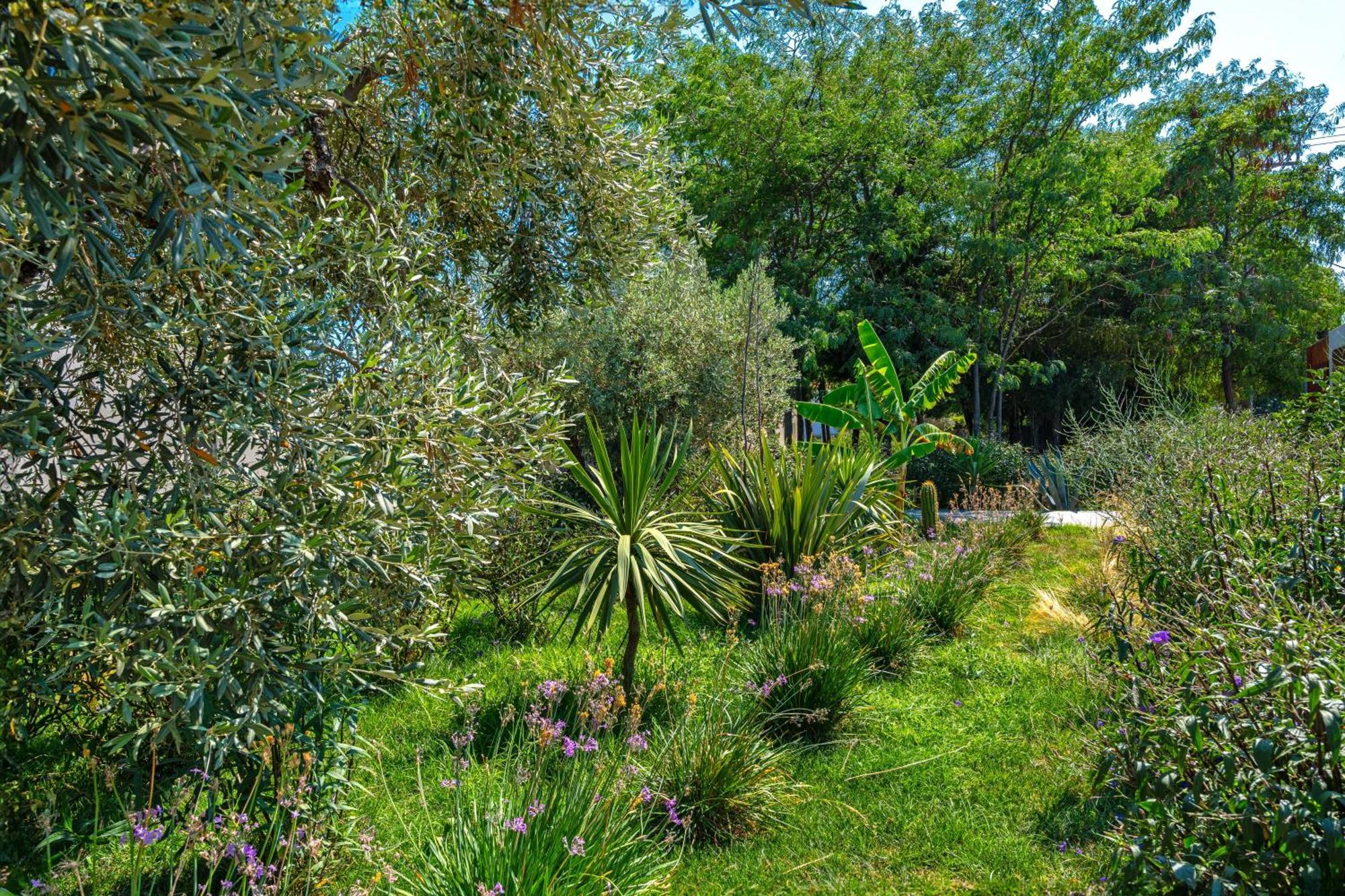 Utopia Eco Retreat Skiathos Town Exterior foto